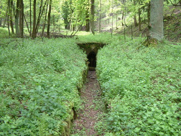 DSCF0025