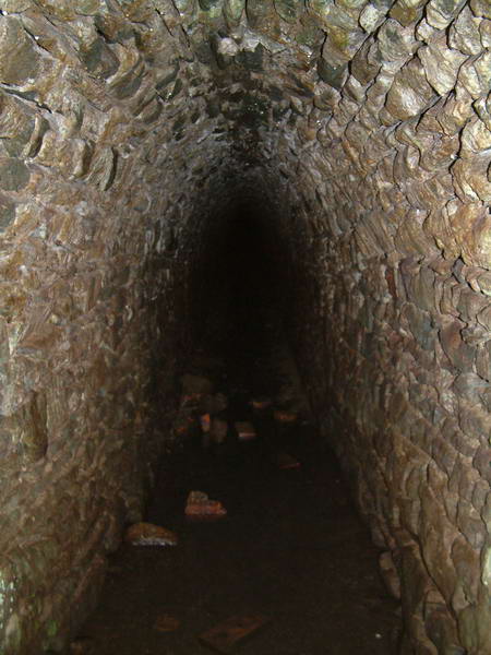 DSCF0028