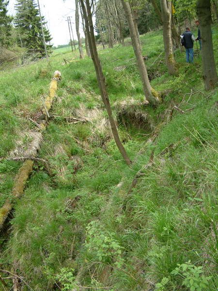 DSCF0049