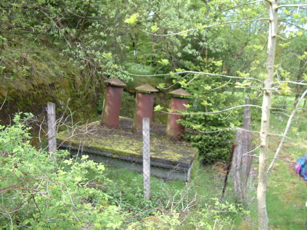dscf0006